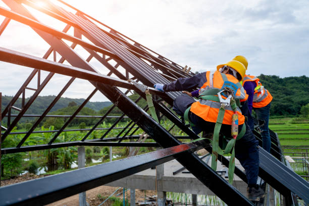 Best Metal Roofing Contractor  in Dahlgren, VA
