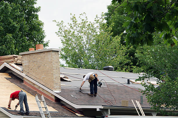 Best Roof Maintenance Services  in Dahlgren, VA