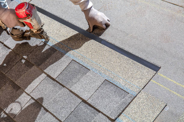 Best Local Roofing Companies  in Dahlgren, VA